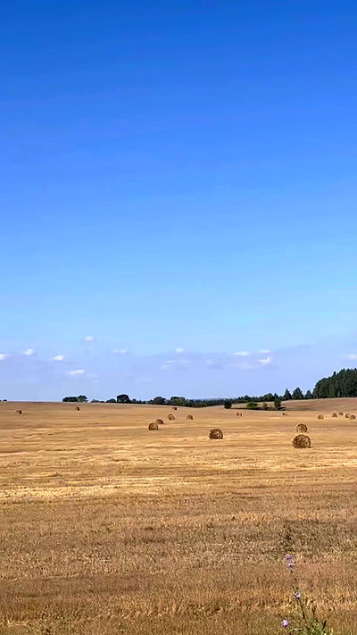 nyityam nyityam archive video