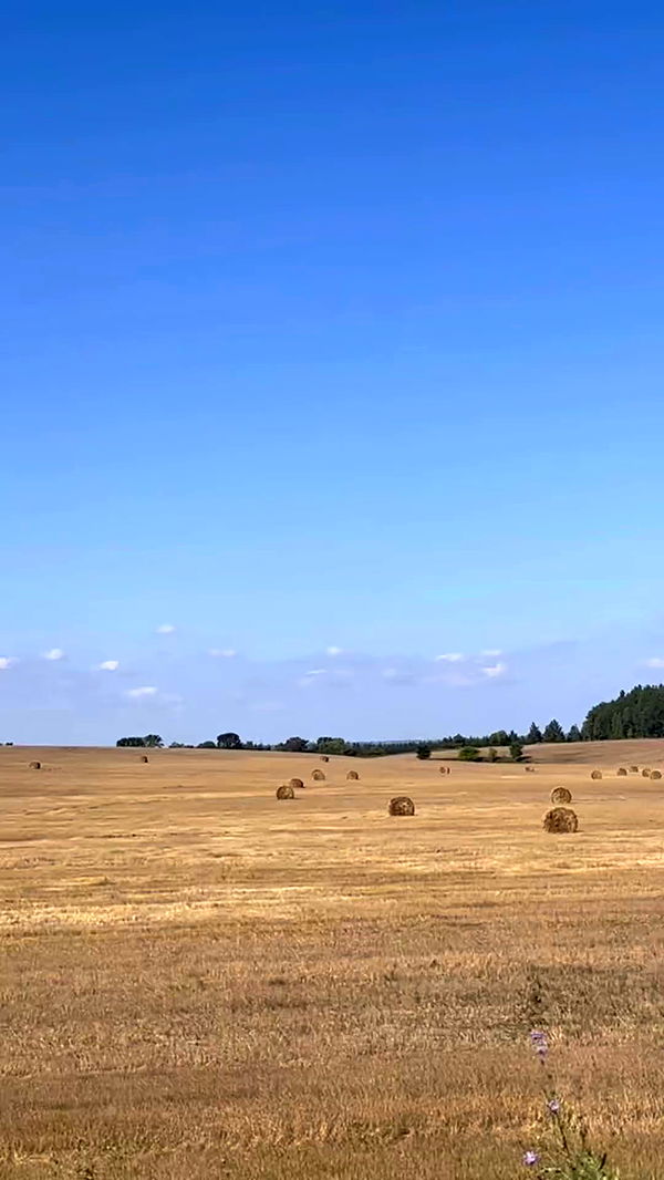 nyityam archive video preview