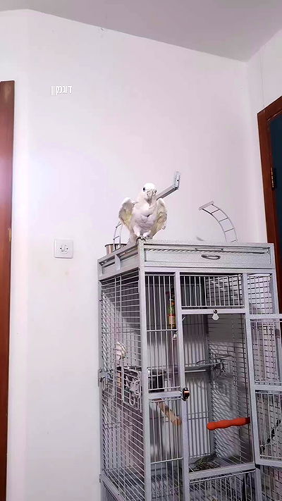 tinapavlov.sky tinapavlov.sky archive video