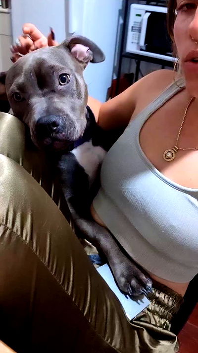 tinapavlov.sky tinapavlov.sky archive video