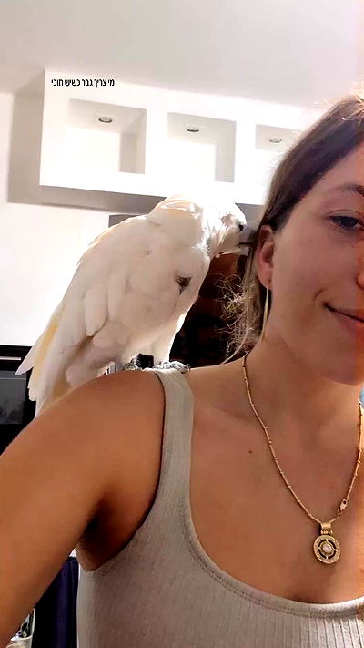 tinapavlov.sky tinapavlov.sky archive video