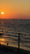 noa_mendel_ Altpins Profile Picture