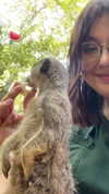 prettylxst Altpins Profile Picture