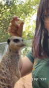 prettylxst Altpins Profile Picture