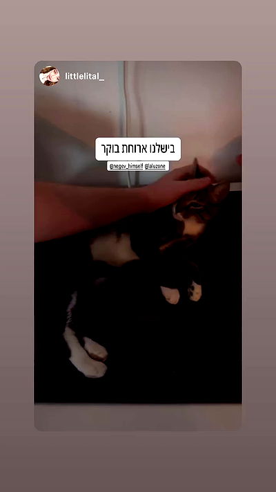 laluzone laluzone archive video