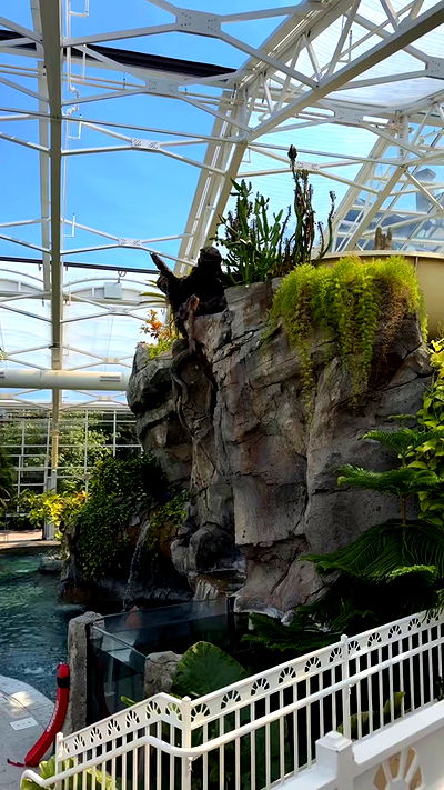 v.qx v.qx archive video