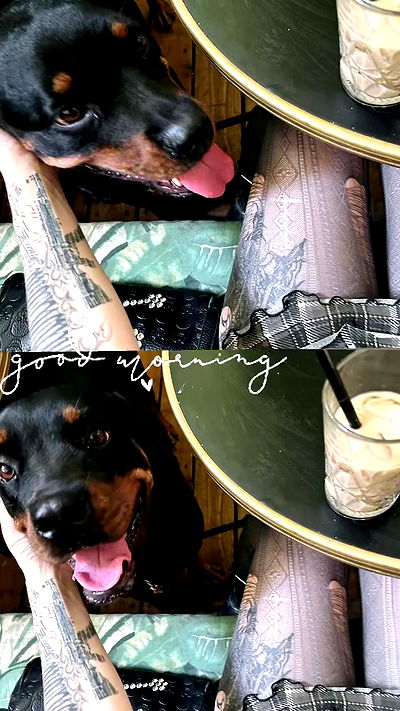 xzot1_met4xx xzot1_met4xx archive video