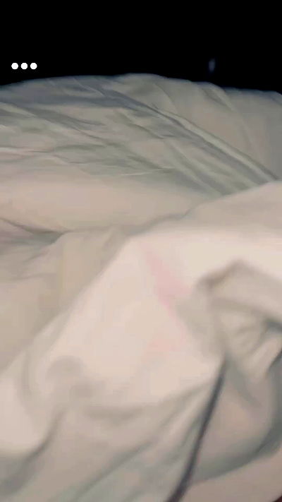 seilorkittyofficial seilorkittyofficial archive video