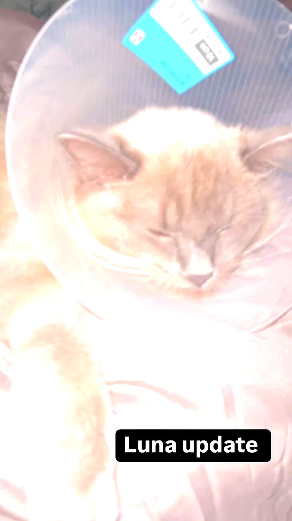 emxllouise2 archive video preview