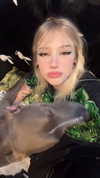 b6ylexx Altpins Profile Picture