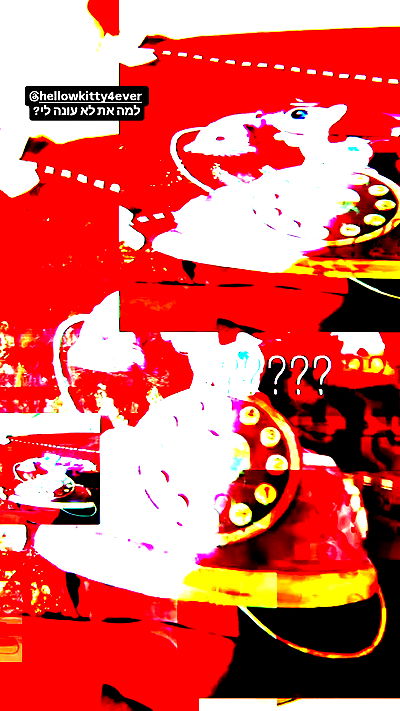 shayli_or shayli_or archive video