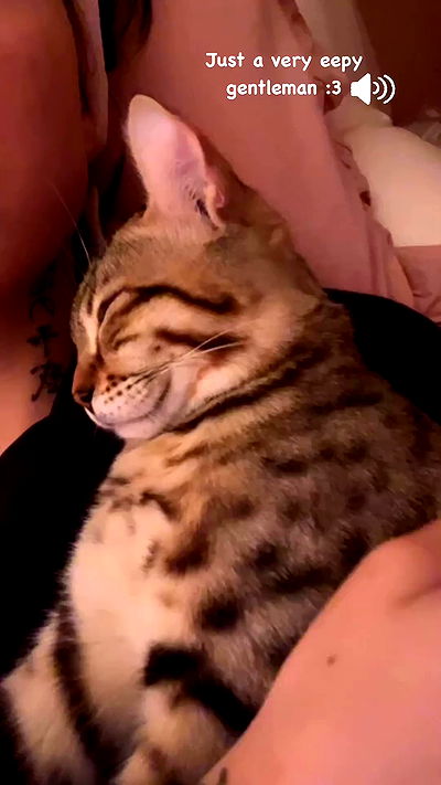 laurinchhhe laurinchhhe archive video