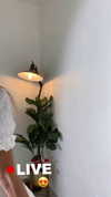 shena_nomy Altpins Profile Picture
