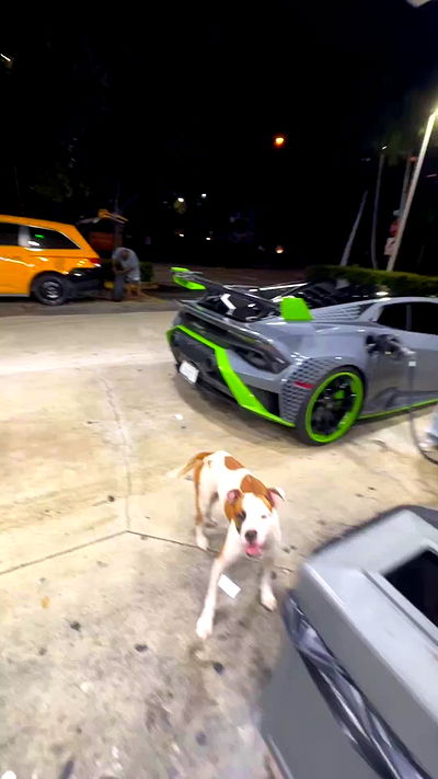 smillsap02 smillsap02 archive video