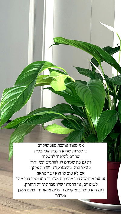 itsilanosh itsilanosh archive video