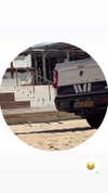 daria.lesin Altpins Profile Picture