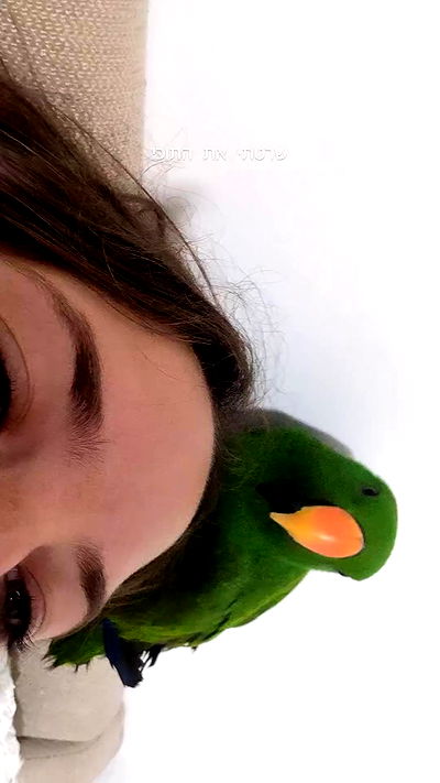 tinapavlov.sky tinapavlov.sky archive video