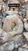 sapir_shemer Altpins Profile Picture