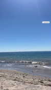 keren_waisman Altpins Profile Picture