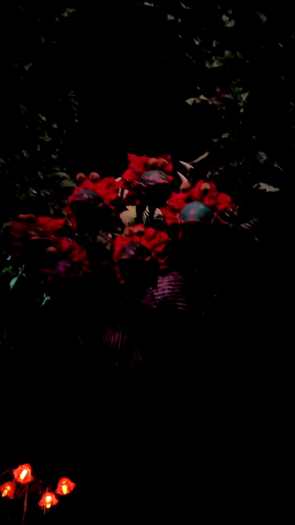 keren_waisman archive video preview