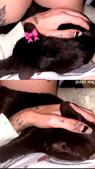 xzot1_met4xx xzot1_met4xx archive video