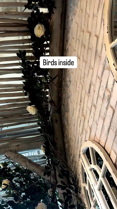 smillsap02 smillsap02 archive video