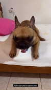 alexandra_stmtk Altpins Profile Picture