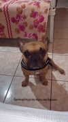 alexandra_stmtk Altpins Profile Picture