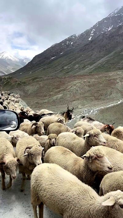 alice.skym alice.skym archive video