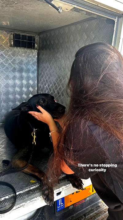 shelly_.mor shelly_.mor archive video