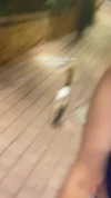 viol.gubin Altpins Profile Picture
