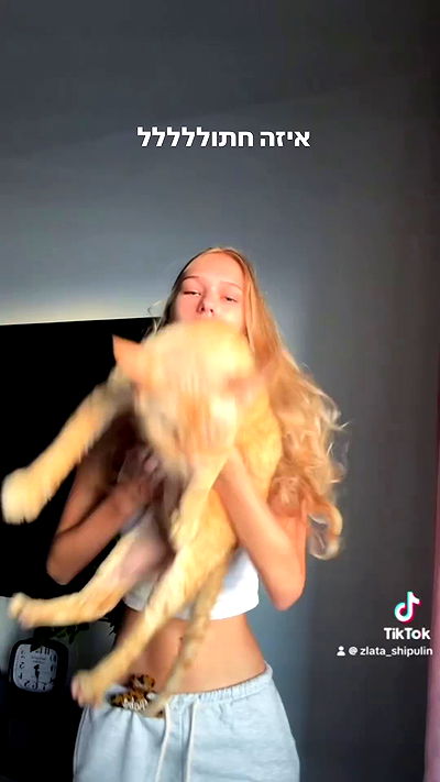 zlata_shipulin zlata_shipulin archive video