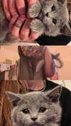 liiuuar Altpins Profile Picture