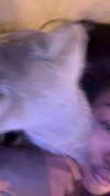 liiuuar Altpins Profile Picture