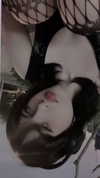 s4lem777 Altpins Profile Picture