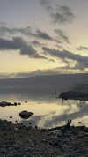 katia_z.k Altpins Profile Picture