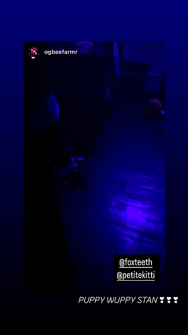 petitekitti archive video preview