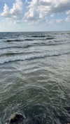 its__lizi Altpins Profile Picture