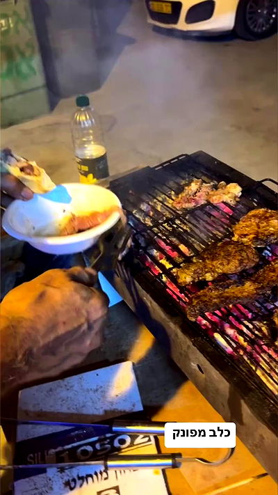 biton__adi biton__adi archive video