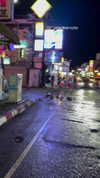 shani.zeltzer Altpins Profile Picture