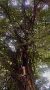 milliekaushal Altpins Profile Picture