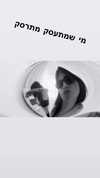 romy_lavi Altpins Profile Picture