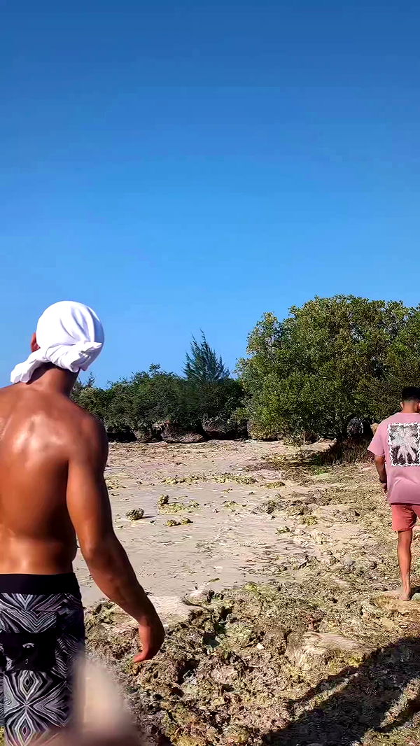 tinapavlov.sky archive video preview