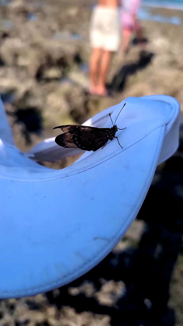 tinapavlov.sky archive video preview