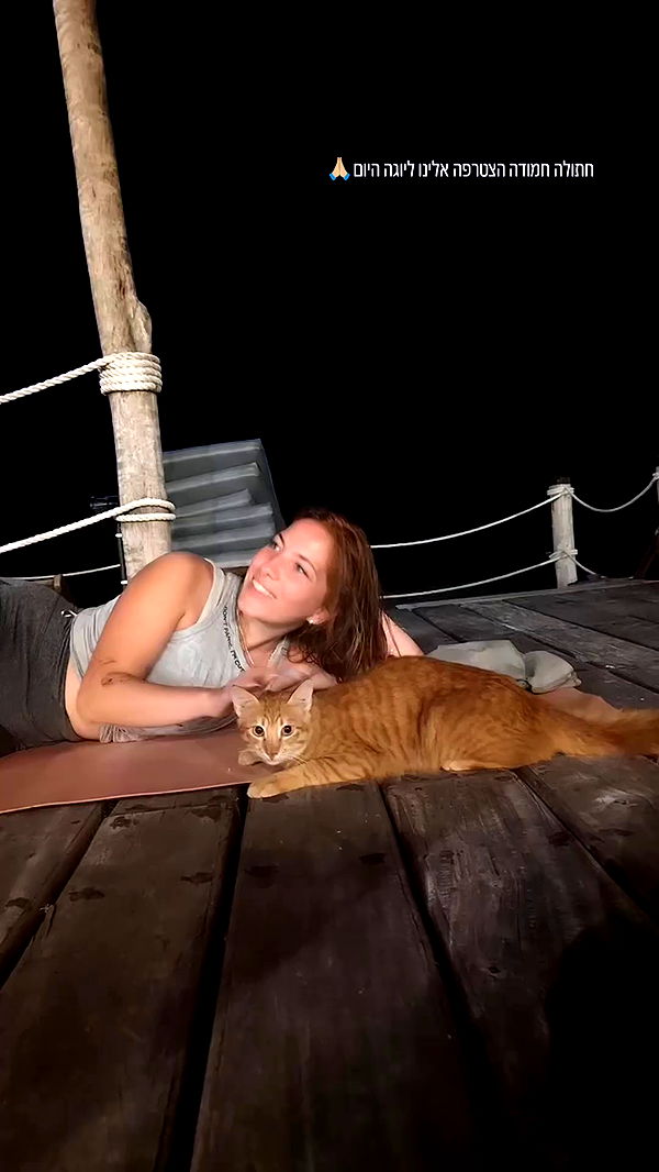 tinapavlov.sky archive video preview