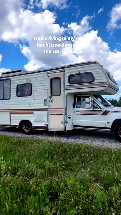 zommmbri zommmbri archive video