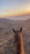 toharsandrusi Altpins Profile Picture