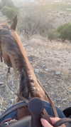 toharsandrusi Altpins Profile Picture
