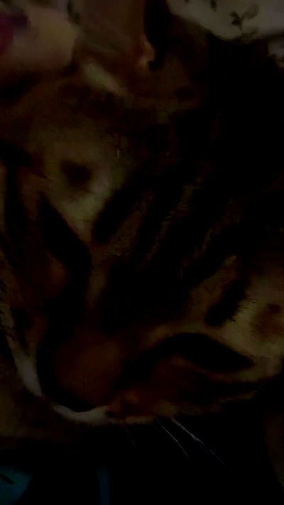 laurinchhhe laurinchhhe archive video