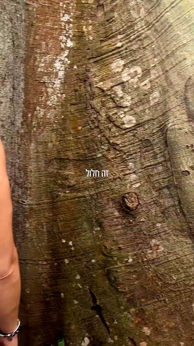 tinapavlov.sky tinapavlov.sky archive video